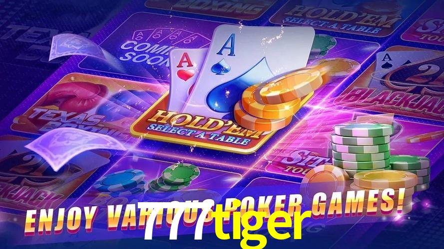 777tiger.com